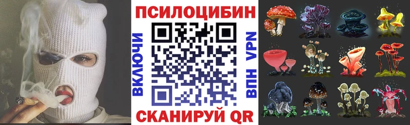 Псилоцибиновые грибы MAGIC MUSHROOMS Осинники